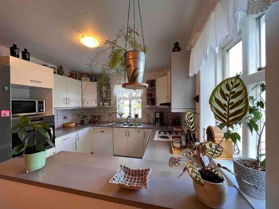 Nylenda Apartman Seyðisfjörður Kültér fotó